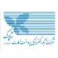 طراح سایت و سئو
